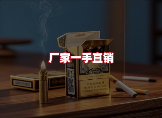 专业团队